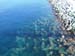 IMG00572-20120725-0859