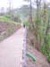 DSCN1353